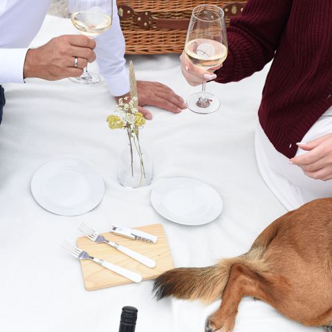 Aktivitäten Hohwachter Bucht, weiße Picknickdecke, daruf zwei teller, Brett mit Gabeln, Picknickkorb, zwei sitzende Personen, die sich zuprosten, Hund angeschnitten